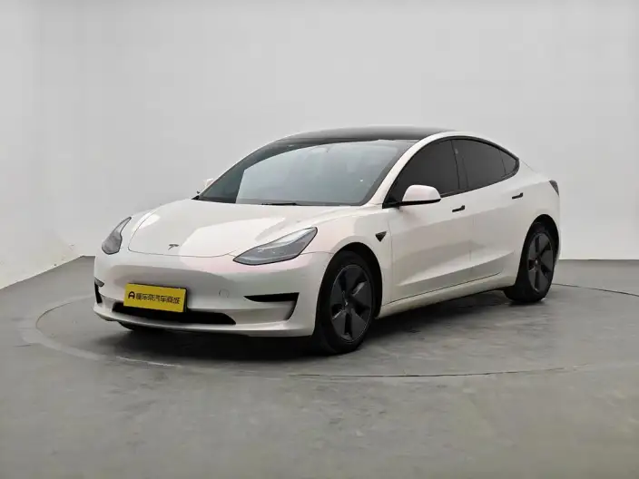 Model 3 2022 Model Rear-wheel drive version – фото 1