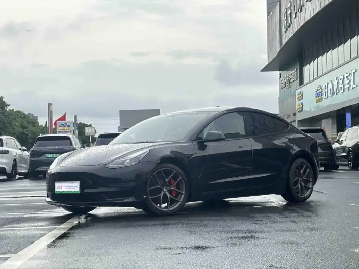Model 3 2021 Model Performance High performance All-wheel drive version – фото 1