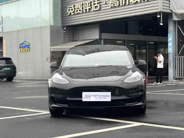 Model 3 2021 Model Performance High performance All-wheel drive version – фото 2