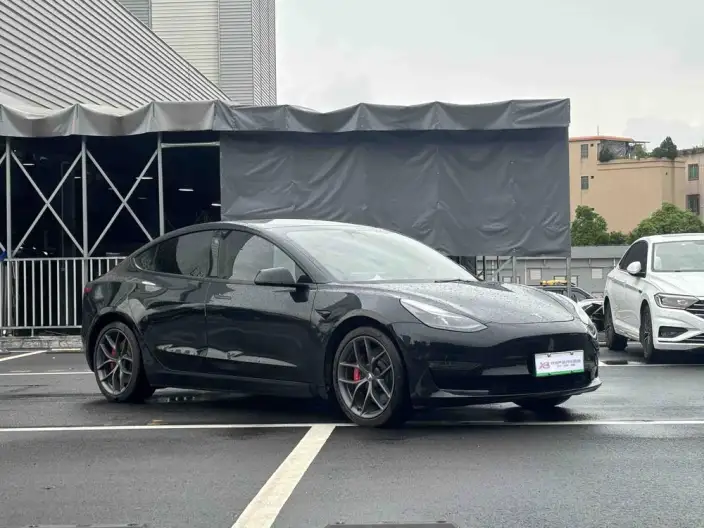 Model 3 2021 Model Performance High performance All-wheel drive version – фото 3