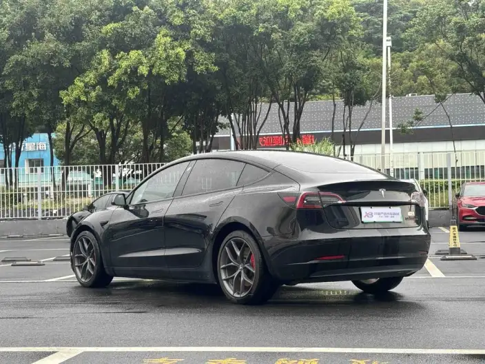 Model 3 2021 Model Performance High performance All-wheel drive version – фото 4