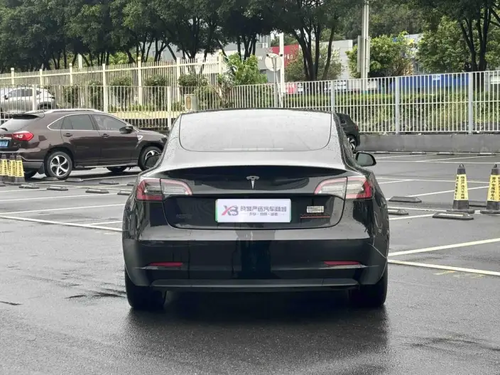 Model 3 2021 Model Performance High performance All-wheel drive version – фото 5