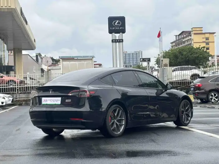 Model 3 2021 Model Performance High performance All-wheel drive version – фото 6