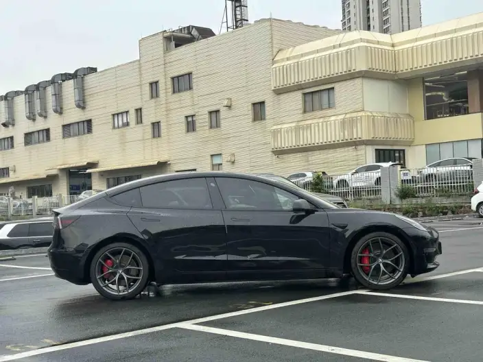 Model 3 2021 Model Performance High performance All-wheel drive version – фото 7