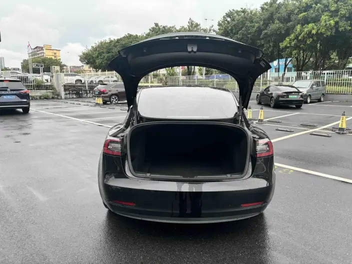 Model 3 2021 Model Performance High performance All-wheel drive version – фото 8