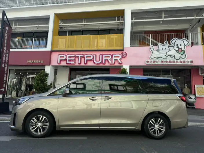Buick GL8 2023 Model ES Luzun 2.0T Exclusive Model Heyue Edition