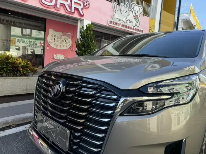 Buick GL8 2023 Model ES Luzun 2.0T Exclusive Model Heyue Edition – фото 8