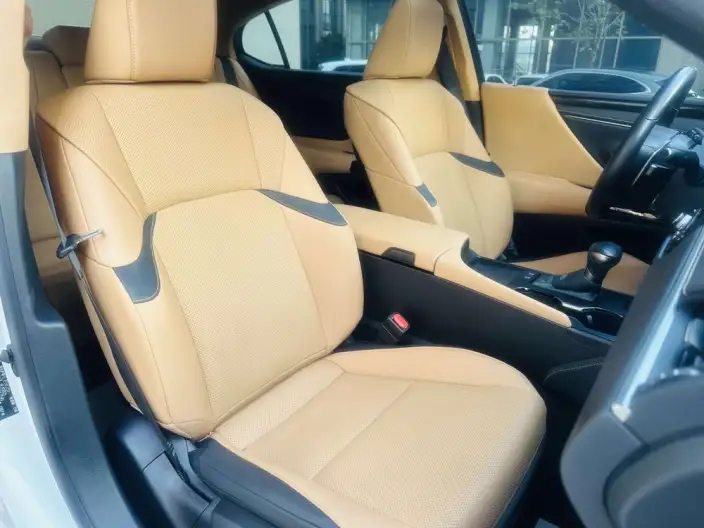 Lexus ES 2022 Model 200 Superior Edition – фото 9