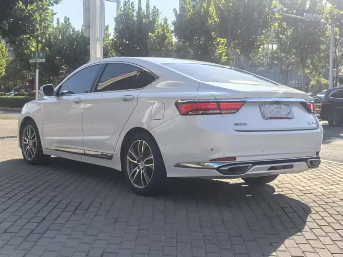 Geely Borui 2020 Model 1.5T MHEV Shine Zun Edition – фото 3