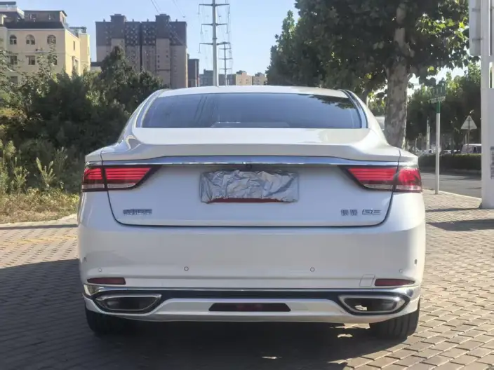 Geely Borui 2020 Model 1.5T MHEV Shine Zun Edition – фото 4