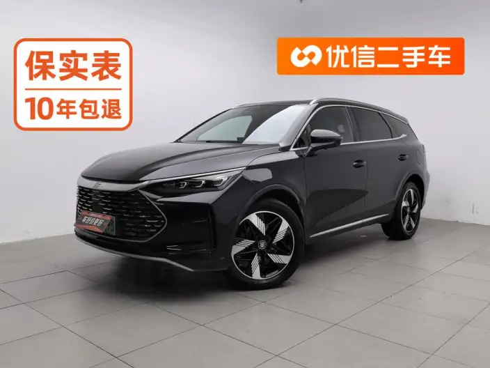 BYD Tang DM 2024 Model Honor Edition DM-i 112KM Noble Model – фото 1