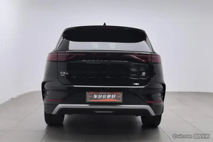 BYD Tang DM 2024 Model Honor Edition DM-i 112KM Noble Model – фото 3