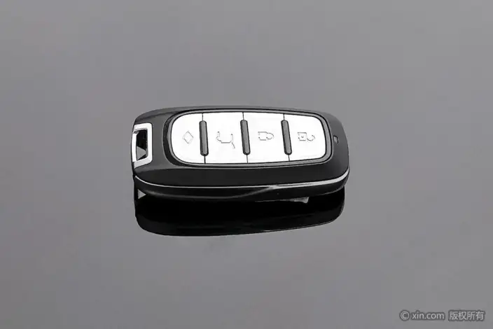 BYD Tang DM 2024 Model Honor Edition DM-i 112KM Noble Model – фото 6