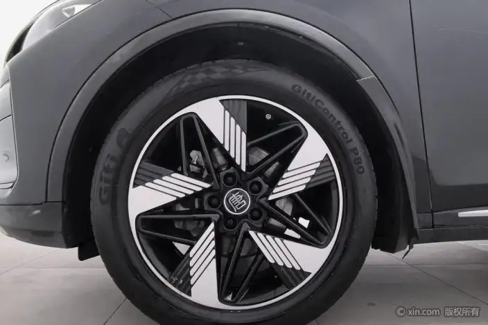 BYD Tang DM 2024 Model Honor Edition DM-i 112KM Noble Model – фото 9