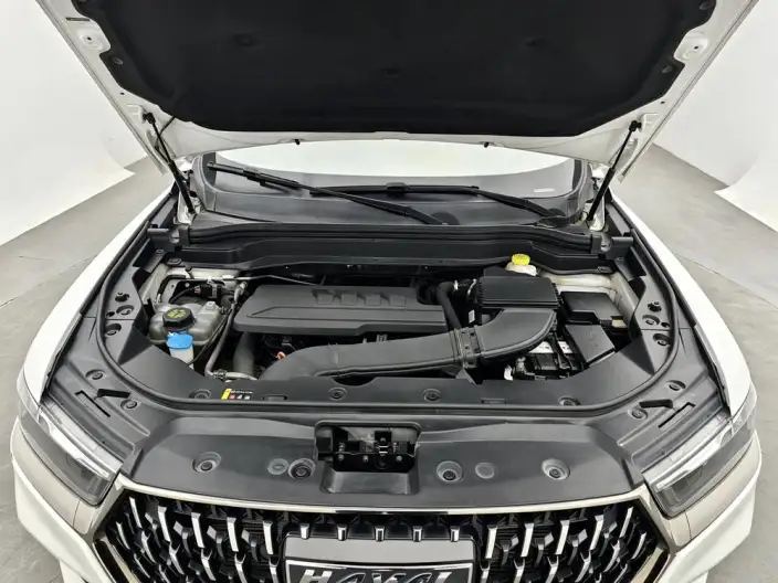 Haval H6 2023 Model Guo Trendy Edition 1.5T Automatic Champion Edition – фото 10