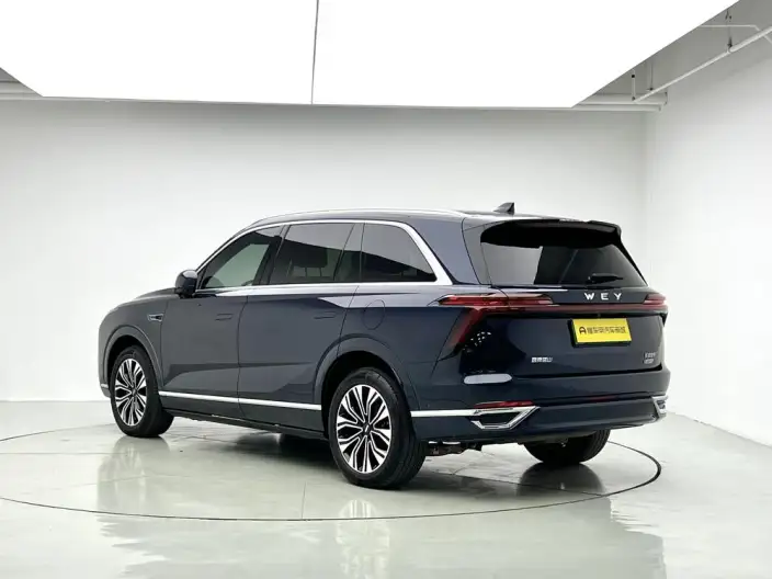 Wey Blue Mountain 2023 Model 4WD Ultra-long Endurance – фото 5