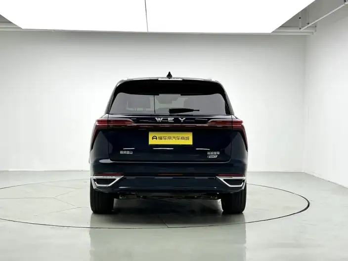 Wey Blue Mountain 2023 Model 4WD Ultra-long Endurance – фото 6