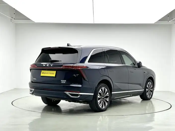 Wey Blue Mountain 2023 Model 4WD Ultra-long Endurance – фото 7