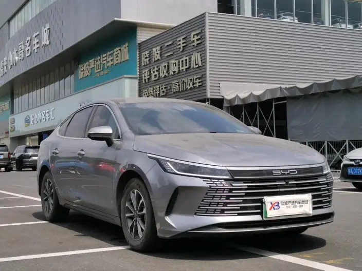 BYD Destroyer 05 2024 Model Honor Edition DM-i 55KM Luxury Model – фото 3