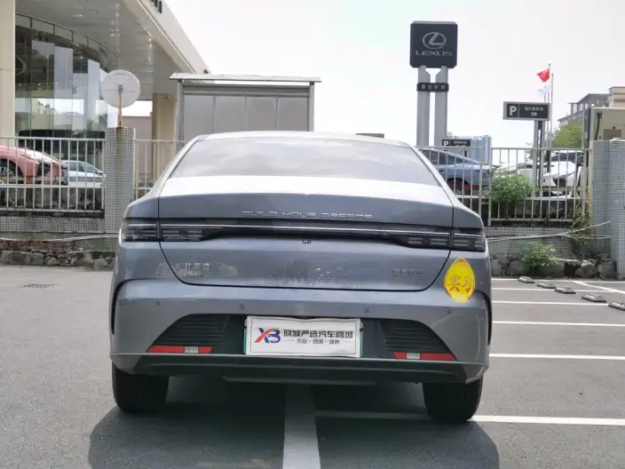 BYD Destroyer 05 2024 Model Honor Edition DM-i 55KM Luxury Model – фото 5