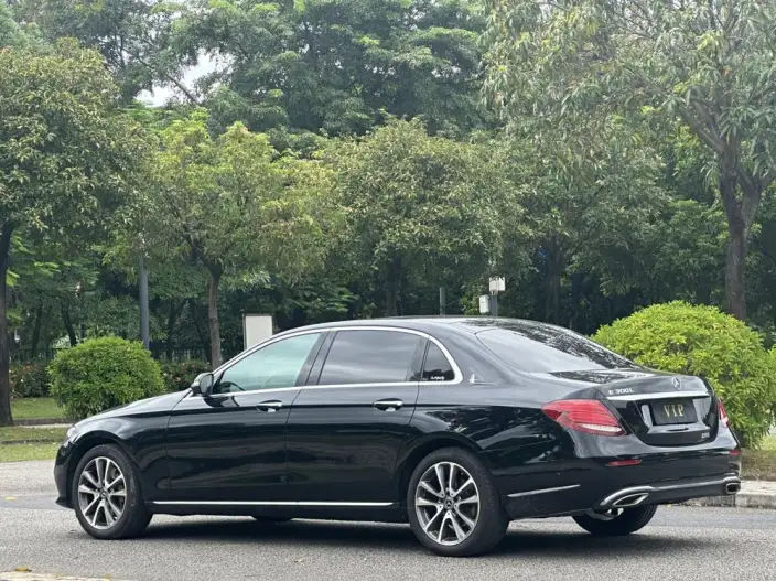 Mercedes-Benz E-Class 2020 Model E 300 L Luxury Model – фото 5