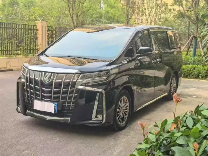 Elfa 2021 Model Hybrid 2.5L Deluxe Edition – фото 1