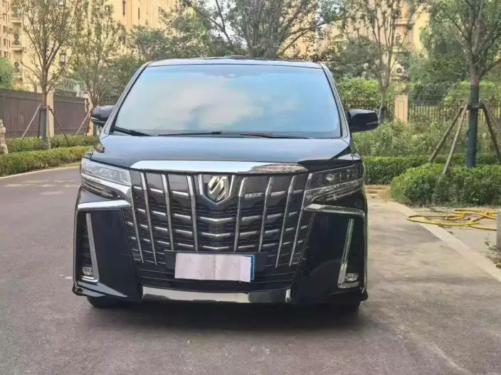 Elfa 2021 Model Hybrid 2.5L Deluxe Edition – фото 2
