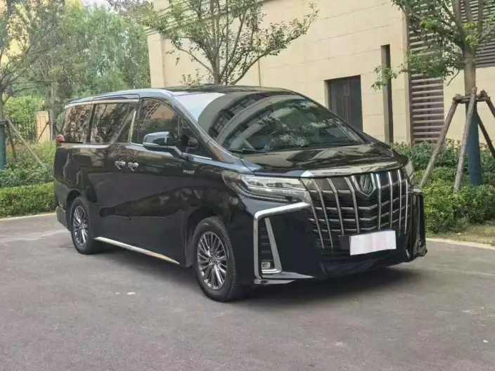Elfa 2021 Model Hybrid 2.5L Deluxe Edition – фото 3