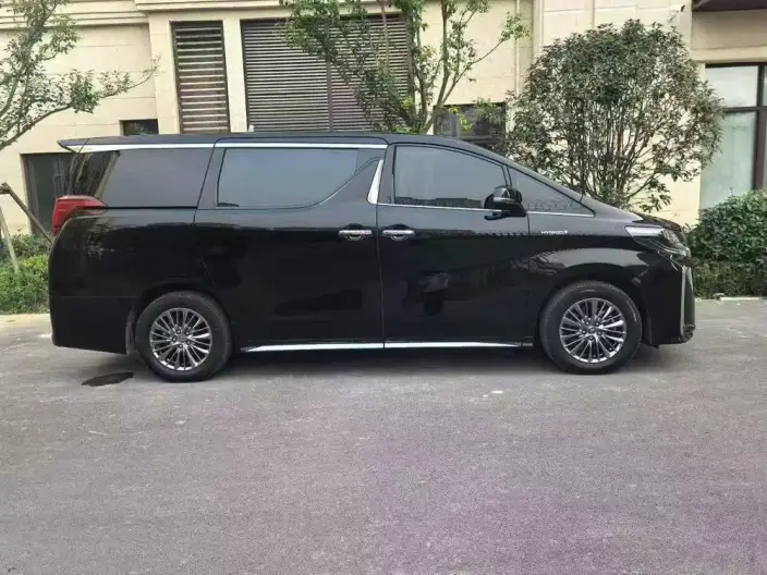 Elfa 2021 Model Hybrid 2.5L Deluxe Edition – фото 6