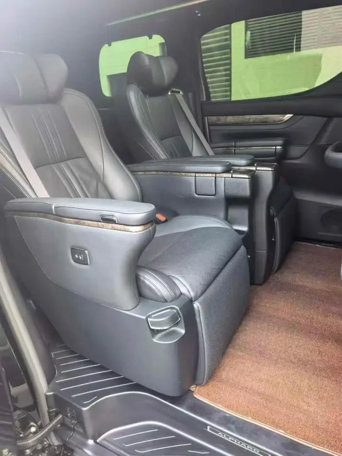 Elfa 2021 Model Hybrid 2.5L Deluxe Edition – фото 8