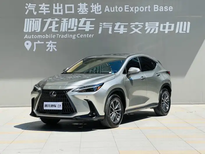 Lexus NX 2025 Model 200 Qian Drive FUN