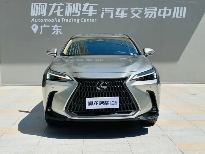 Lexus NX 2025 Model 200 Qian Drive FUN