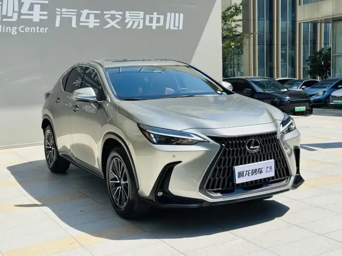 Lexus NX 2025 Model 200 Qian Drive FUN