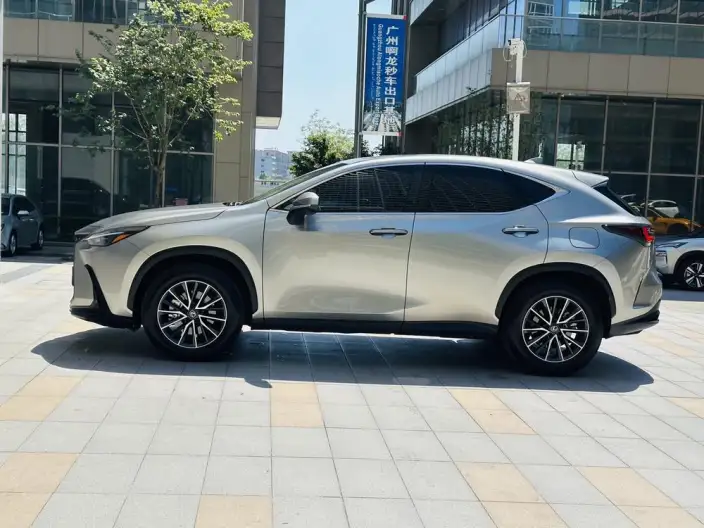 Lexus NX 2025 Model 200 Qian Drive FUN