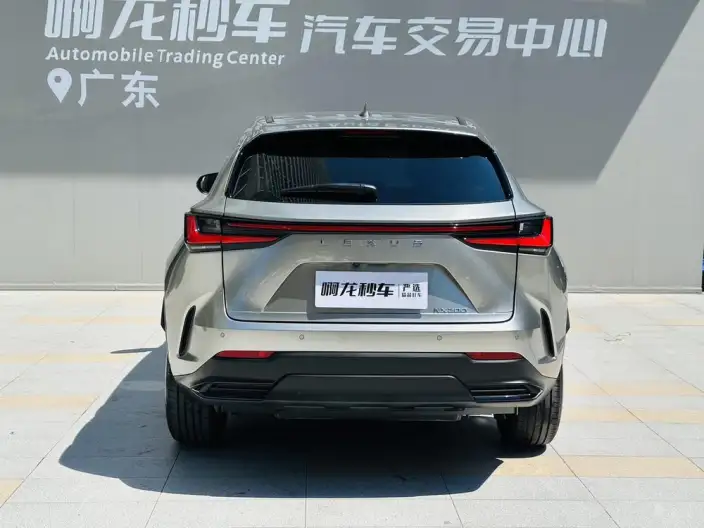 Lexus NX 2025 Model 200 Qian Drive FUN – фото 6