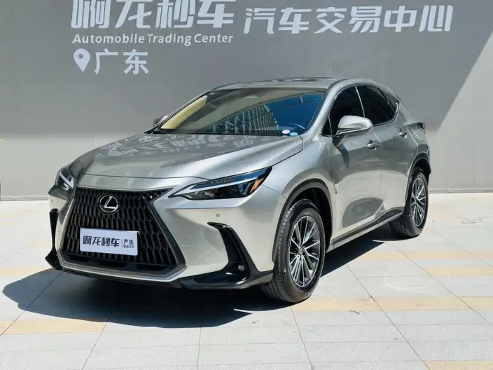 Lexus NX 2025 Model 200 Qian Drive FUN – фото 7