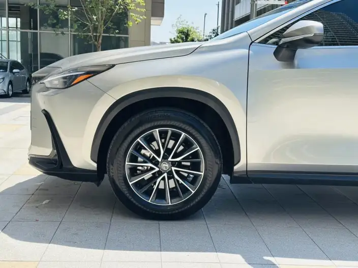 Lexus NX 2025 Model 200 Qian Drive FUN – фото 8