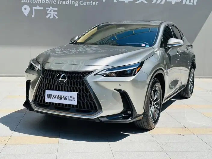 Lexus NX 2025 Model 200 Qian Drive FUN – фото 9