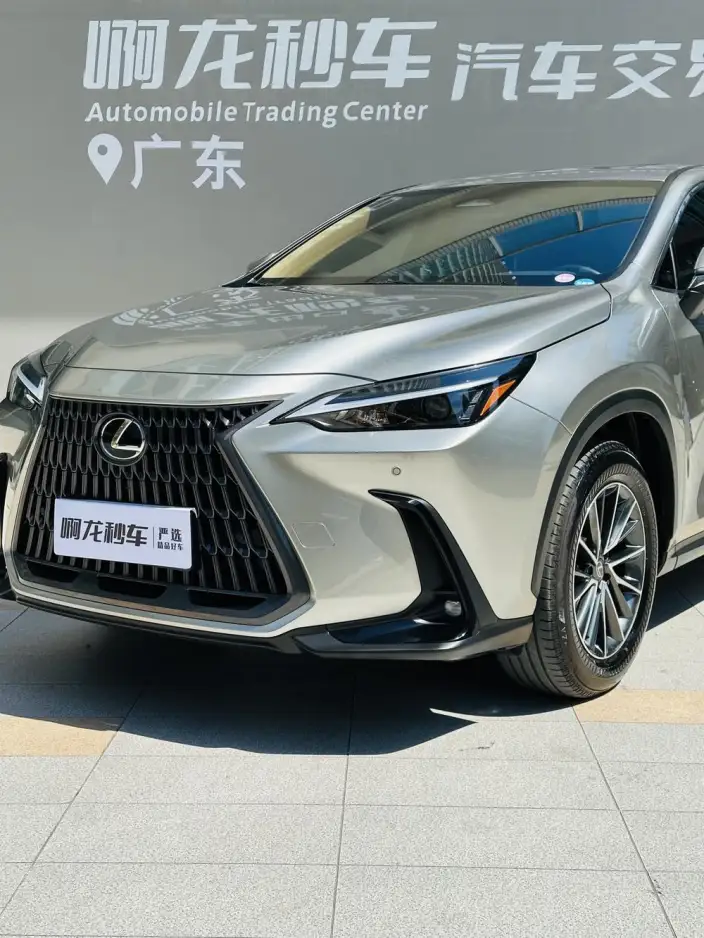 Lexus NX 2025 Model 200 Qian Drive FUN – фото 10
