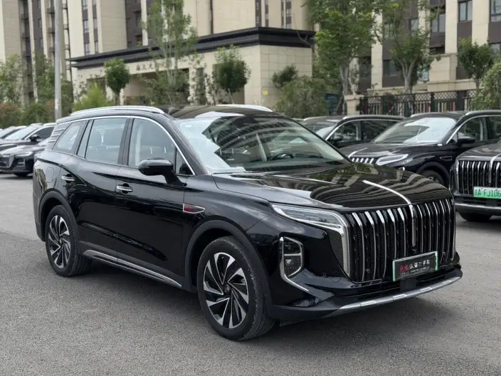 Hongqi HS7 PHEV 2024 Model 2.0T 4WD Flag Enjoy Edition 6 seat – фото 3