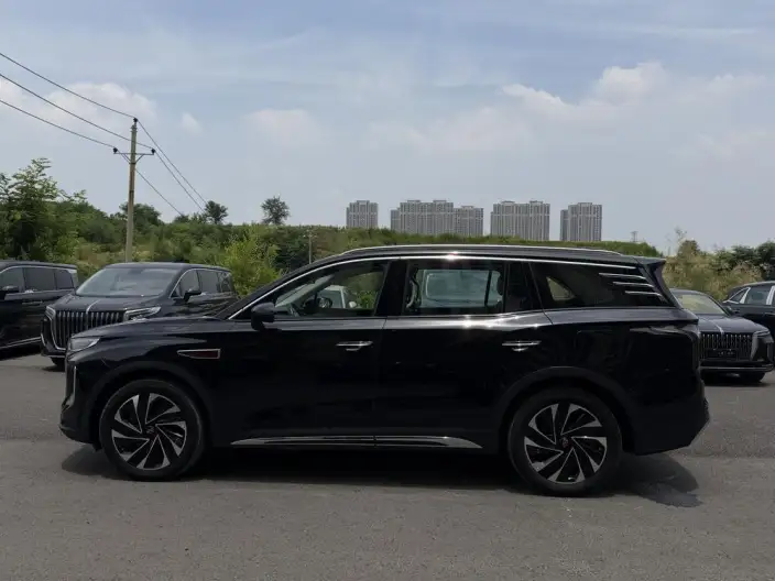 Hongqi HS7 PHEV 2024 Model 2.0T 4WD Flag Enjoy Edition 6 seat – фото 4
