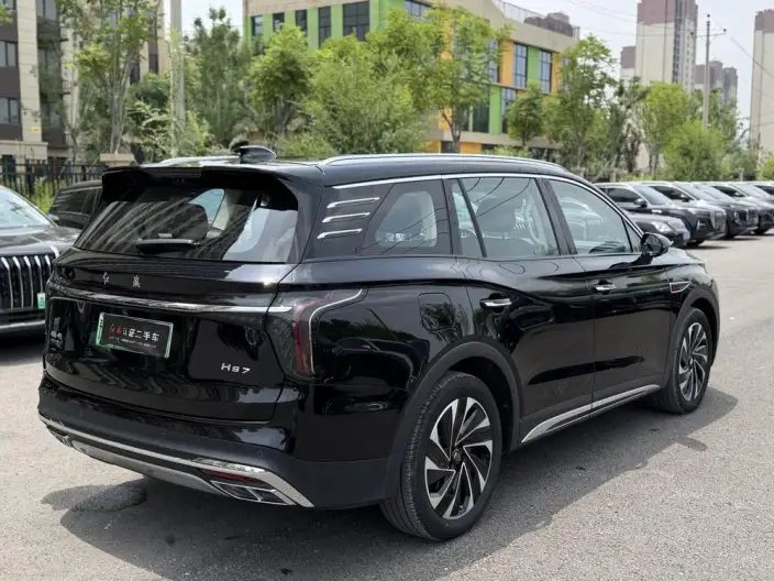 Hongqi HS7 PHEV 2024 Model 2.0T 4WD Flag Enjoy Edition 6 seat – фото 7