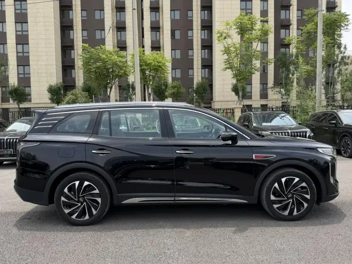 Hongqi HS7 PHEV 2024 Model 2.0T 4WD Flag Enjoy Edition 6 seat – фото 8