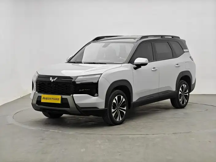 Xingguang 560 PHEV 2026 Model 125km Luxury Model