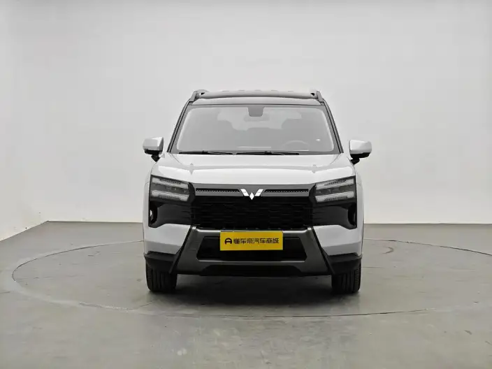 Xingguang 560 PHEV 2026 Model 125km Luxury Model