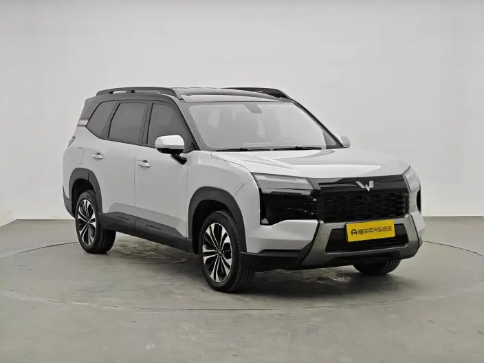 Xingguang 560 PHEV 2026 Model 125km Luxury Model