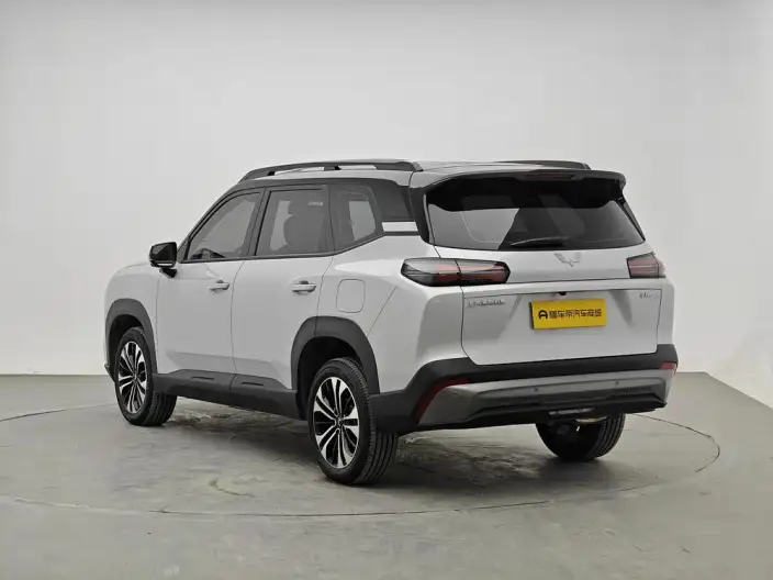 Xingguang 560 PHEV 2026 Model 125km Luxury Model – фото 5