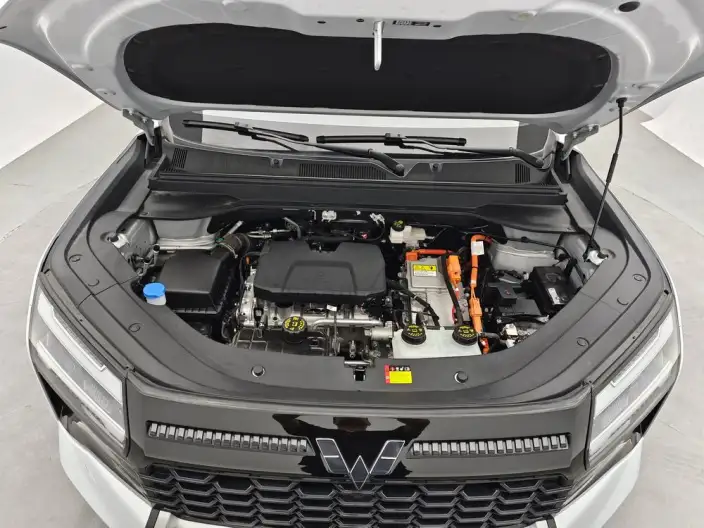 Xingguang 560 PHEV 2026 Model 125km Luxury Model – фото 10