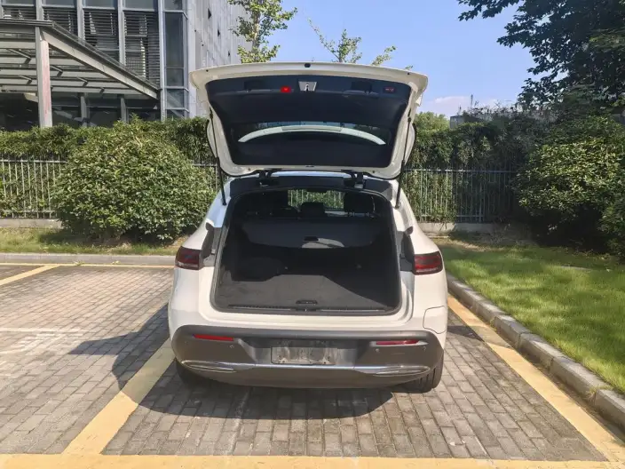 Mercedes-Benz EQC 2020 Model 350 4MATIC – фото 5