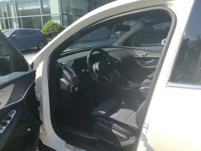 Mercedes-Benz EQC 2020 Model 350 4MATIC – фото 9